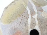a close up of a vase with a hole in it