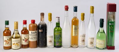 de nombreuses bouteilles d'alcool alignées sur une surface blanche