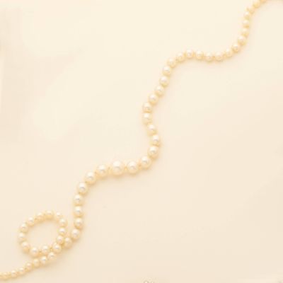 pearl necklace on a white background with a gold clasp