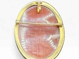 an image of a gold and pink broochle on a white background