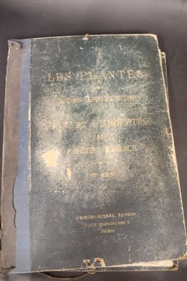 Lot d'une quarantaine de chromolithographies sur la nature e…