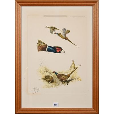 une peinture représentant des faisans sur fond blanc