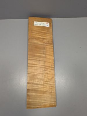 Fond en érable pour violon, ~45cm