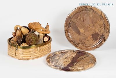 deux assiettes et un bol de champignons sur la table