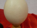 a white egg sitting on top of a table next to other eggs
