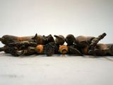 a lot of fish that are laying on the ground