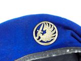 a blue hat with a silver bird on it