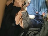 a cardboard box filled with clothes and a remote control