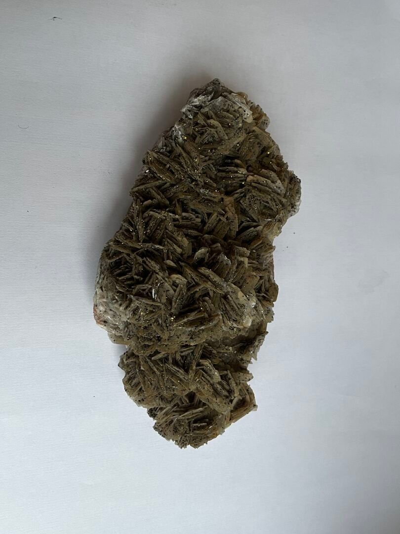 Objets d'art & Curiosités