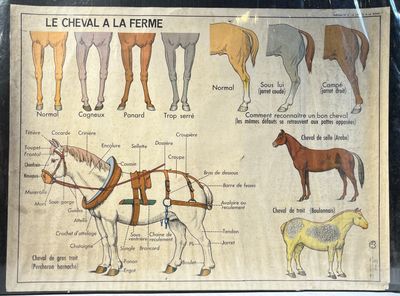 M.D.I. Saint-Germain en Laye. Affiche scolaire recto/verso :…
