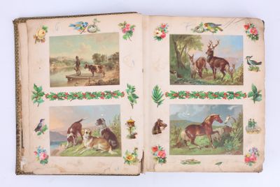 un vieux livre illustré d'animaux et d'oiseaux