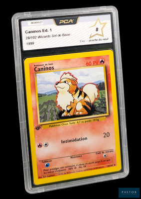 La carte Pokémon comporte l'image d'un chat sur le dos.