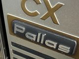 a close up view of the badge on the front of a car