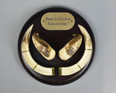 une plaque avec des cornes et une plaque sur laquelle on peut lire « Ne lâche pas, tu vas manger la corne »