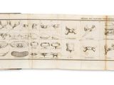 an old book with a bunch of drawings on it