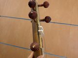 a person that is holding a musical instrument in their hand