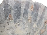 a close up of a metal bowl with holes in it