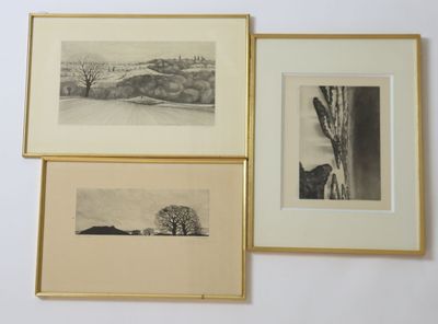 trois photos en noir et blanc d'arbres, dans un cadre doré, accrochées au mur