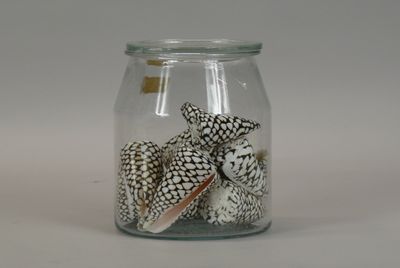 a glass jar with shells in it on a table