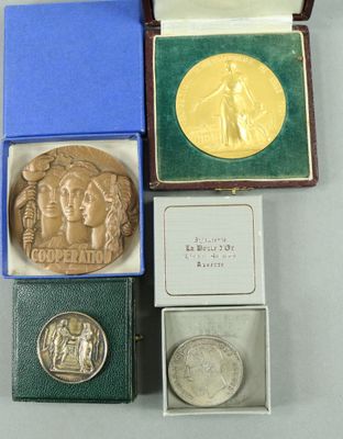 trois médailles d'argent et d'or dans des coffrets posés sur un fond blanc