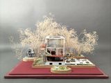 a miniature model of a house on a red table