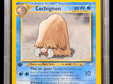 a close up of a pokemon card with a picture of a bear