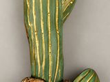un cactus vert et doré posé sur un rocher