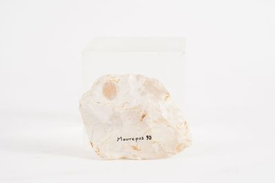 a close up of a rock on a white surface