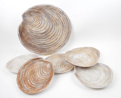 trois coquillages sont disposés sur une surface blanche, sur fond blanc