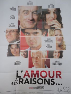 l'affiche du film « L'amour de raisons »