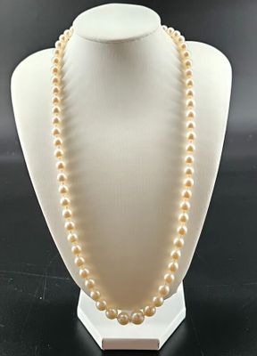 Collier de perles de cultures, le fermoir en or blanc.
