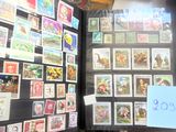 de nombreux timbres exposés dans un album
