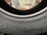 tires are lined up and ready to be used in the shop