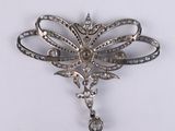 an image of a brooch with a dragonfly on it ' s back