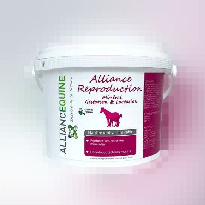un seau blanc contenant une potion de réputation de l'Alliance, sur fond rose
