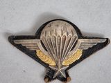 une image représentant un insigne sur lequel figure un parachute