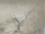 Photo 14/14 du lot