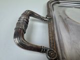 a silver tray that has a handle on it