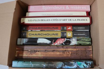 plusieurs livres empilés dans une boîte