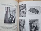 a book with pictures of animals in it on a table