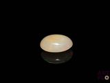an oval white oplite on a black surface with a black background