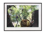 une photo d'une photo représentant une personne dans un arbre