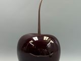 une pomme couleur chocolat d'où sort une tige