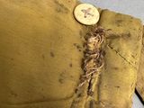 an old yellow pillow with a button on it sitting on a table