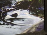 a picture of a picture of a stream in the woods