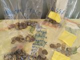 beaucoup de pièces de monnaie posées sur la table, sur lesquelles sont griffonnées des notes