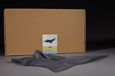 Zaha HADID (1950-2016) - ALESSI éd.