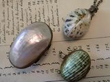 two shells and a shell pendant on a piece of paper
