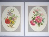 two framed pictures of flowers and butterflies on a blue wall