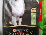 a bag of purina pro plan dog food on a shelf